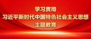 越日逼越想日视屏学习贯彻习近平新时代中国特色社会主义思想主题教育_fororder_ad-371X160(2)